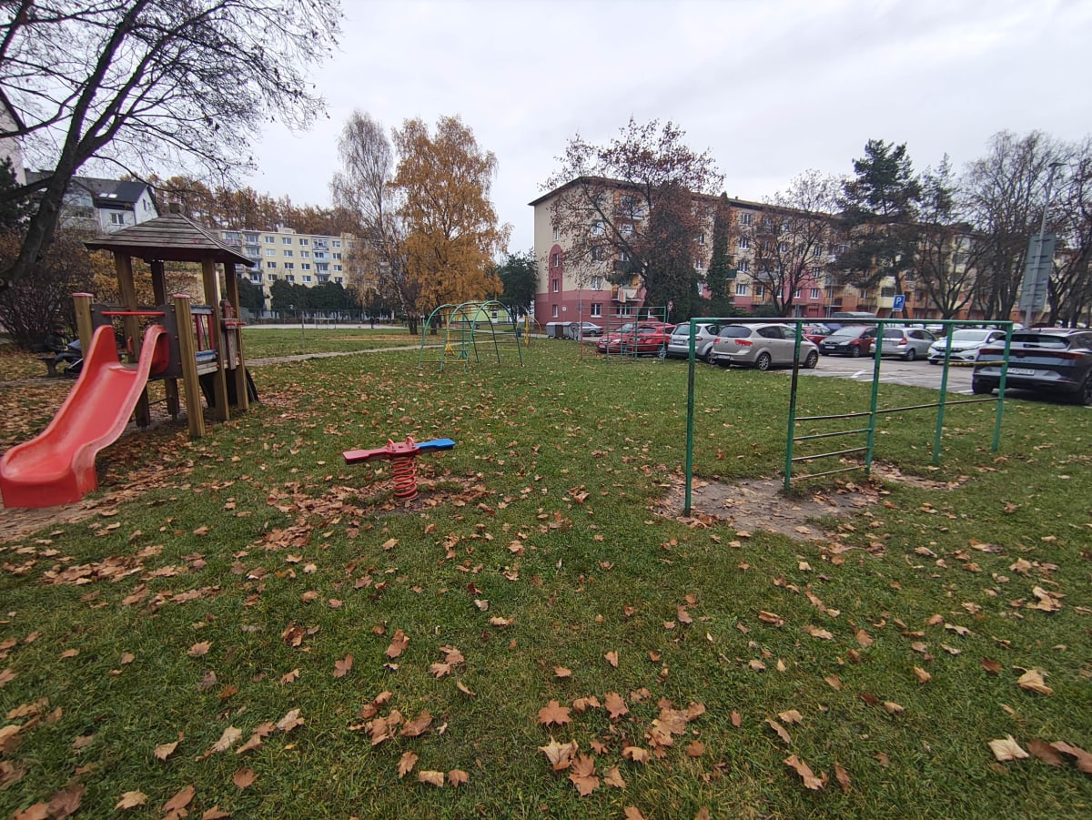 Detské ihirsko