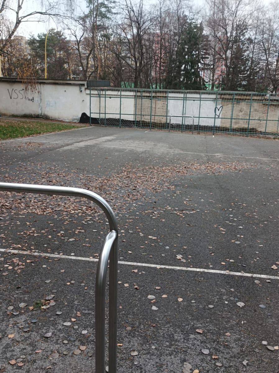 Športova plocha