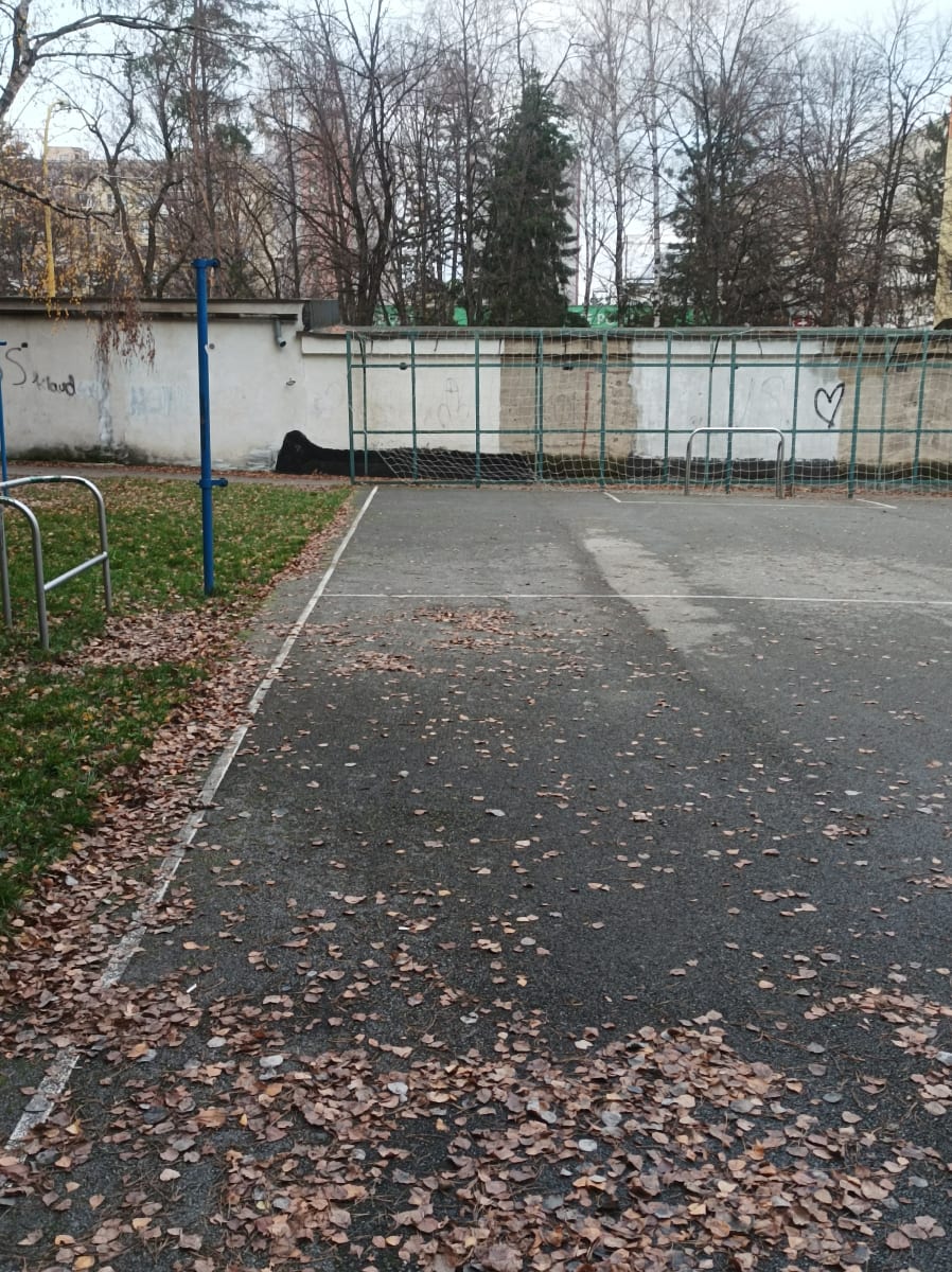 Športova plocha
