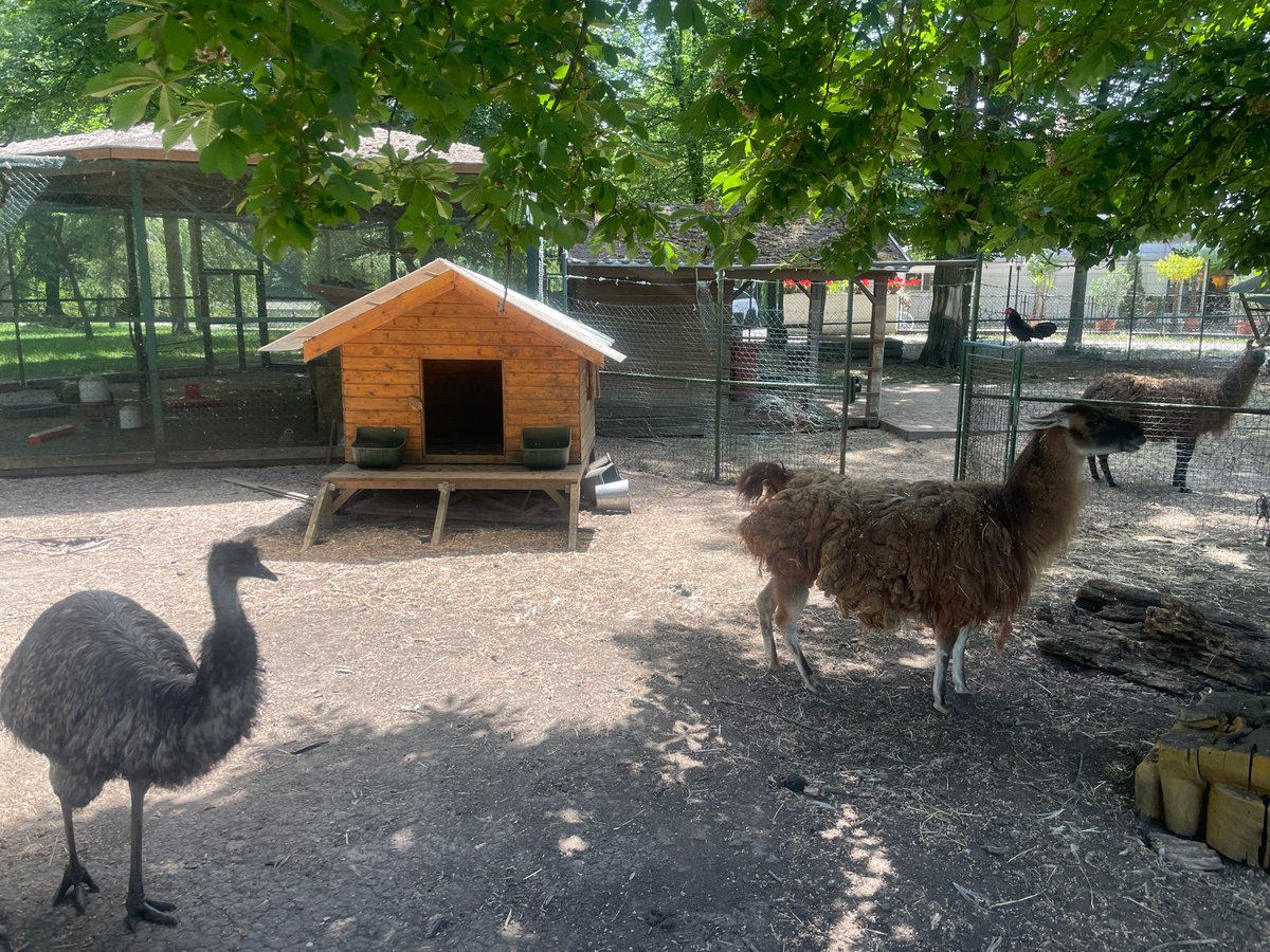 Mimo zoo