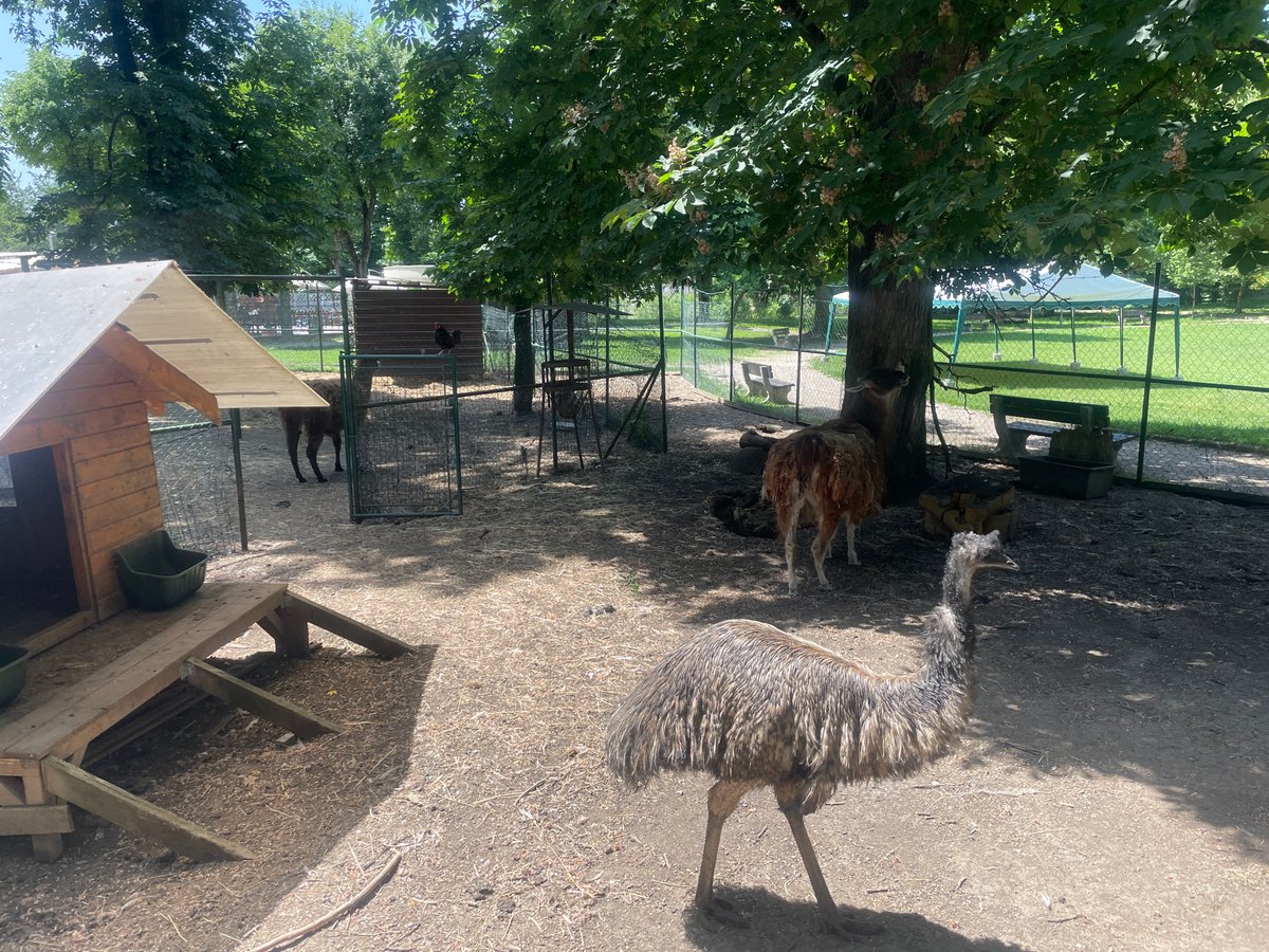 Mimo zoo