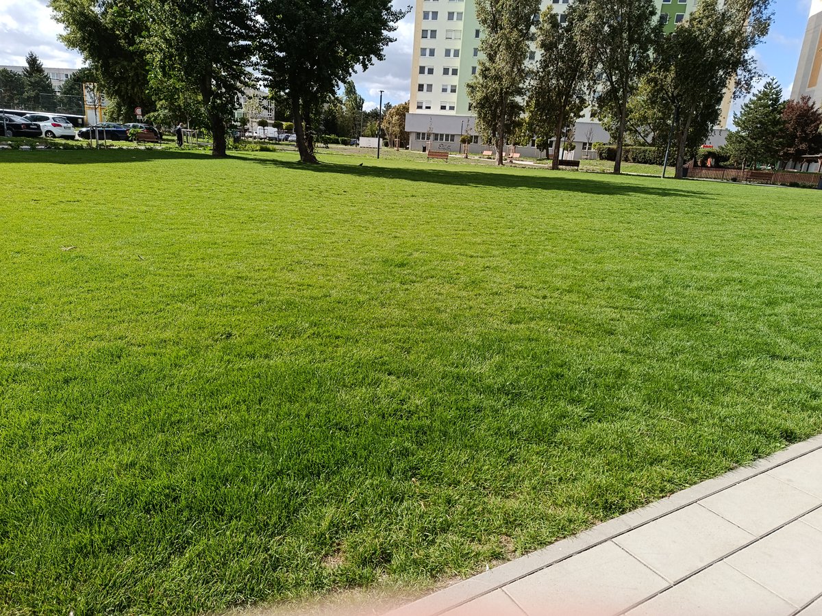 Park Uzbecká