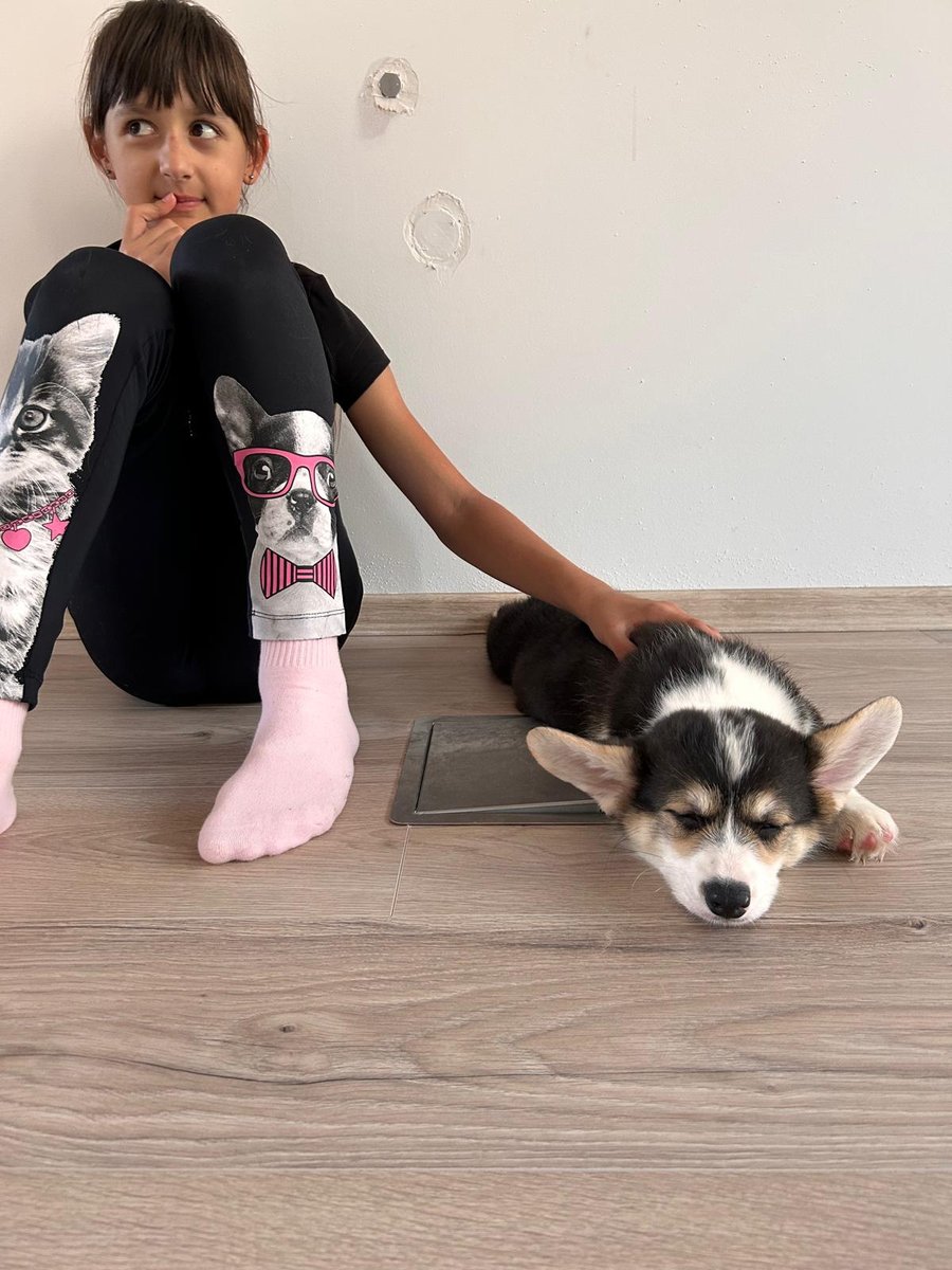 PetsYoga